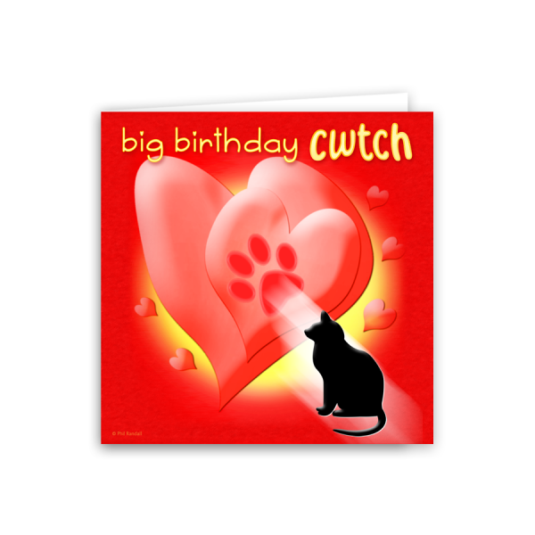 Big Birthday Cwtch (cat)