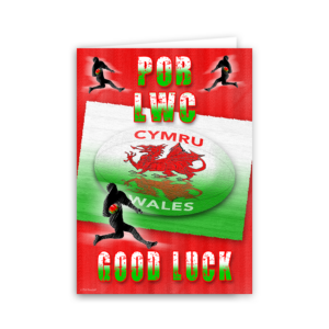 COME ON WALES!