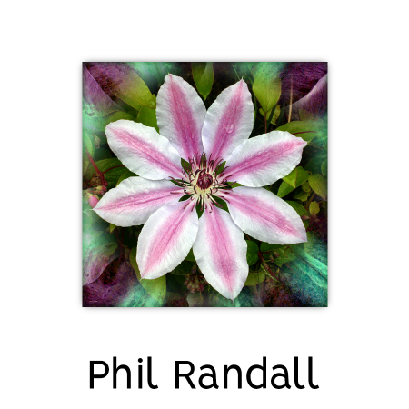 Phil-Randall-2-e1587466690227