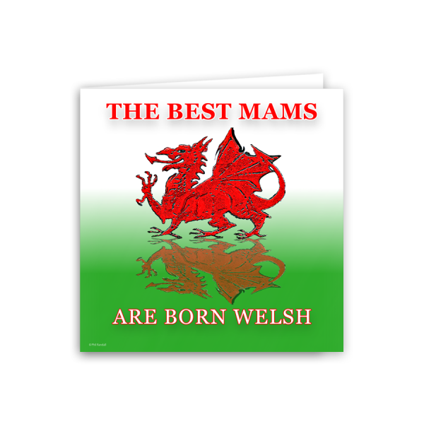 THE BEST MAMS ARE BORN WELSH