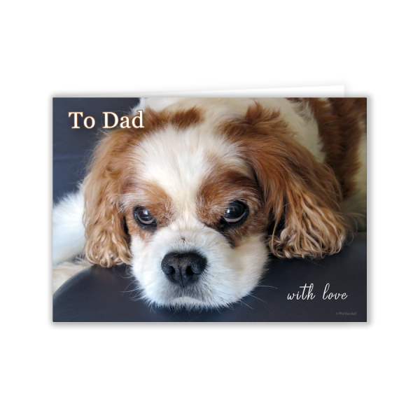 Toby