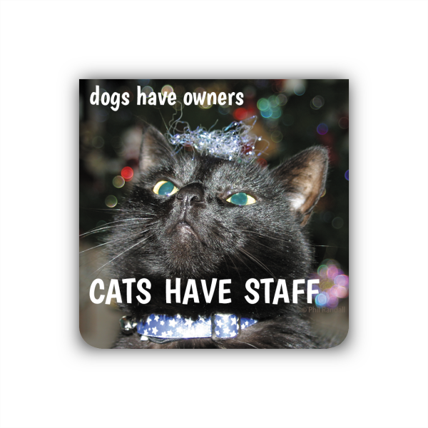 ...CATS HAVE STAFF