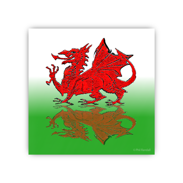 Welsh Dragon Reflected
