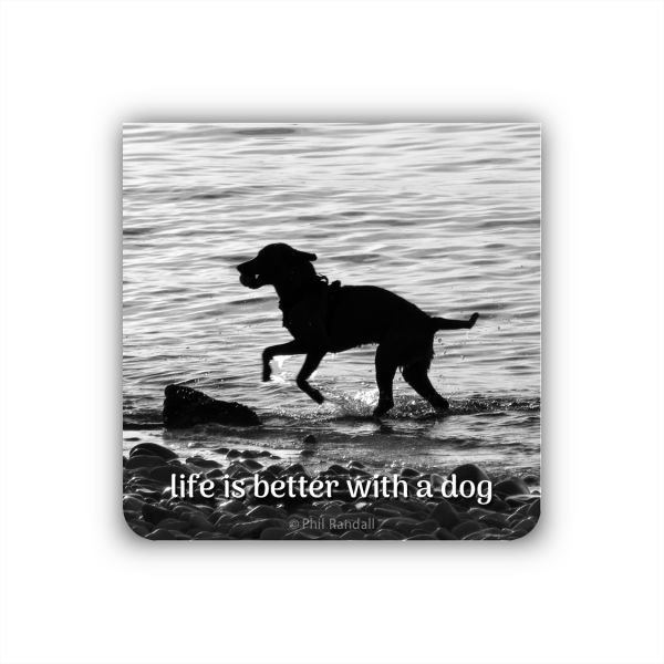 life is better with a dog