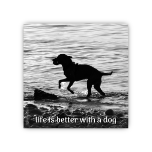 life is better with a dog