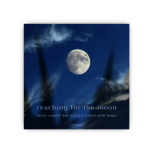 reaching for the moon...