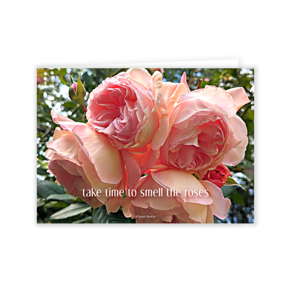 take time to smell the roses