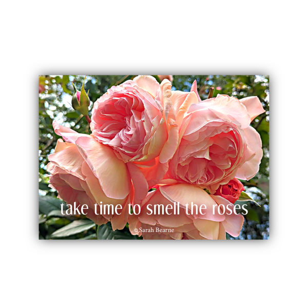 take time to smell the roses