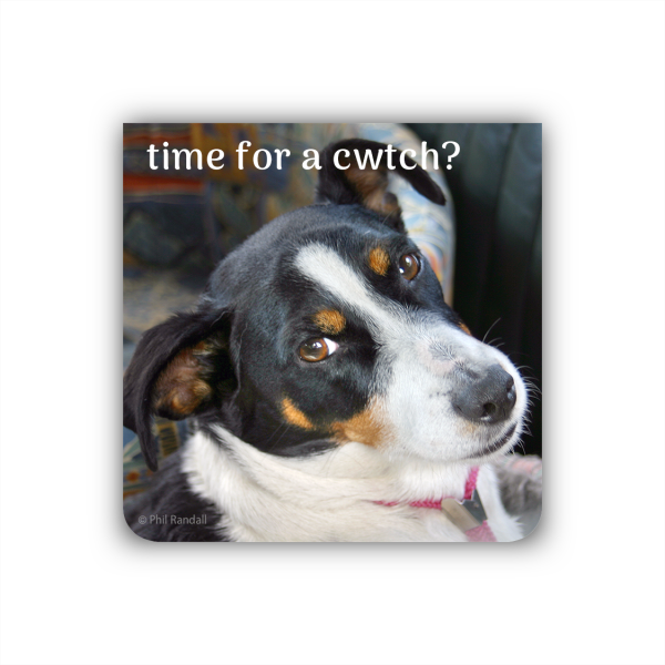 time for a cwtch?