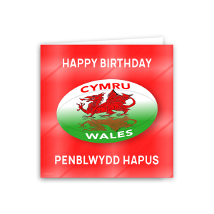Pêl Rygbi Cymru Welsh Rugby Ball